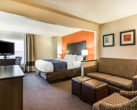 Comfort Inn Wings Stadium Hotels in Kalamazoo