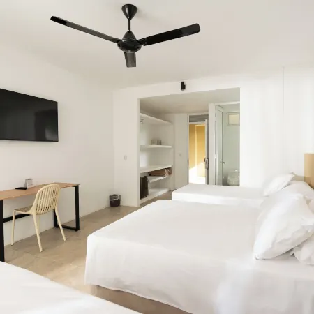 Hotel Las Palmeras