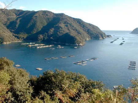 Sushitomo Ryokan Отели рядом со станцией JR Tochihara station