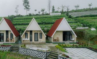 Vianda Cabin By Travelink