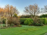 Jenny Wren Hotels in Boscastle