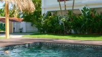 Empyrean Tropical Wellness Portillo - Beach