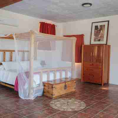 Location is Everything! Pool, Jacuzzi & Privacy! Rooms