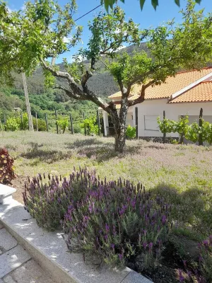 Sazes 7 - Mountain retreat to enjoy nature Hotels in 