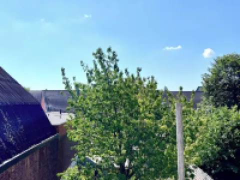 Cosy haven in Aalst with terrace a green haven Hotels in Aalst