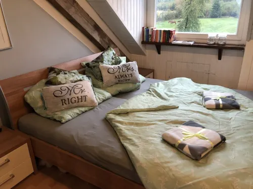 Studio with kitchen, fireplace, terrace, barbecue - dogs allowed - Hohes Venn - Eifel