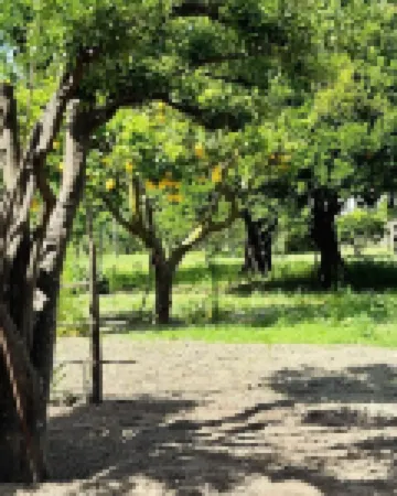 peace and relaxation, the apartment is equipped with all comforts