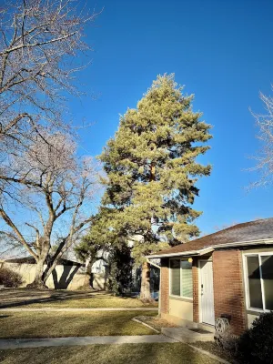 Cozy 2-Bedroom Condo Near World-Class Skiing