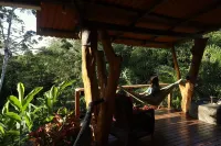 Rainforest Sanctuary - Cabin by a River
