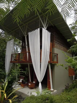 Jungle Paradise....Puerto Viejo...Minutes to the Beach Hotels in 