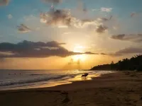 Tropical Beach Loft  w/King Bed + Sea/Mountain Views!