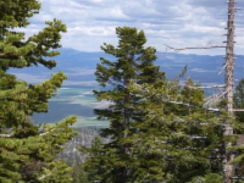 7 Mins to Lake Tahoe Beaches, 3 Mins to Heavenly Ski Slopes! Breathtaking Views!