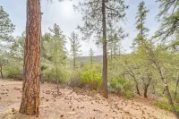 Strawberry Hideaway in the Pines w/ Hot Tub! - WiFi
