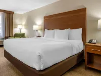 Comfort Inn Hotels in Holmes County