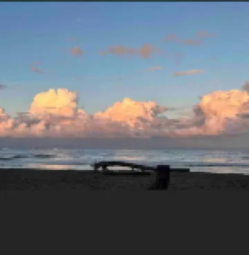 Hidden House Casa Escondida