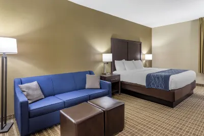 Comfort Inn St Robert-Fort Leonard Wood Hotels near Uranus Fudge Factory And General Store