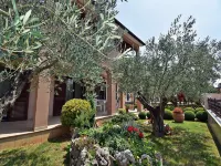 Apartment in Pula near Golf Course - 2-Star