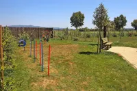 Apartment in Tuscany near Sandy Beaches