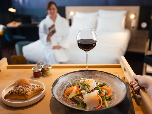 Novotel Annemasse Centre Geneva Port Kamar Photos