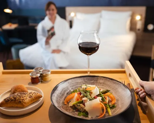 阿訥馬斯中心日內瓦港諾富特 房間 Photos