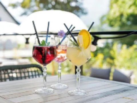 ギーセン ホテル & コーヒーハウス ファドゥーツのホテル