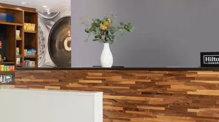 Hampton Inn & Suites by Hilton Irving DFW Airport North