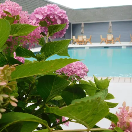 Comfort Inn & Suites Glen Mills - West Chester