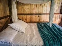 Toucan Lodge Amazon Rainforest Retreat Hotels in 