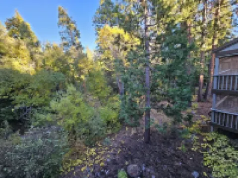 Forest View Townhouse 3 Bedroom Home by RedAwning