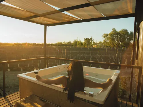 Bodega Iaccarini Wine Lodge by BT Homes - Apartments