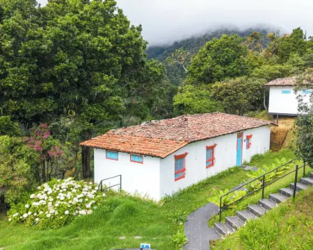 Dantica Cloud Forest Lodge Hoteles en Copey