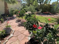 Magical Getaway: Garden Oasis & Pool, Golfing, Hiking,Special Discounts. Hotels in der Nähe von Gilcrease Nature Sanctuary & Orchards