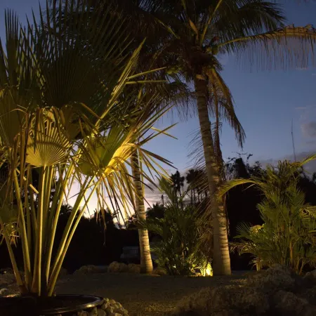 Tropical Mango Grove Stay Whiskey Creek Area