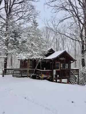 Peace-in-the-Forest Retreat - Singles, Couples, Artists, Forest Lovers