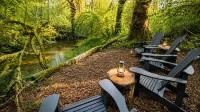 Comfy PNW escape in town - quiet and peaceful, perfect for exploring Olympic NP