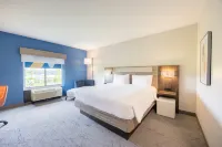 Holiday Inn Express & Suites COLUMBUS - POLARIS PARKWAY by IHG - vasca da bagno