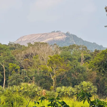 Sigiriya Rock Gate Resort