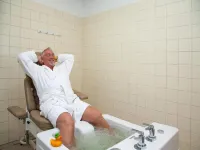 Viiking Spa Hotel - Hot Springs