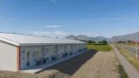 Höfn Apartments - 3-Star