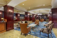 Omni New Haven Hotel at Yale - صديق للحيوانات الاليفة