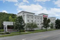 Hampton Inn Ithaca - Pools