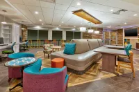 Home2 Suites by Hilton Battle Creek - Pet Friendly