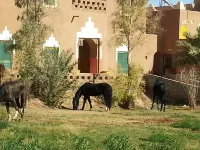 Auberge Jnane Dar Diafa se Trouve au Centre de Tamegrouteface de la Bibiotheque