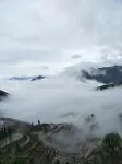 閒梅野竹繞梯田・雲海日出親子居（七星墩觀景台店） - 2 星級