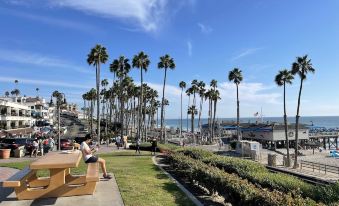 New: Signature 2Br in #1 San Clemente Neighborhood - Blocks from Ocean