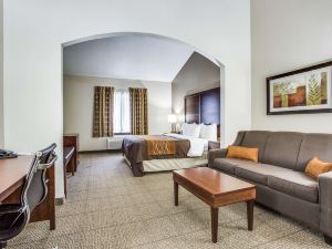 Comfort Inn & Suites Love Field – Dallas Market Center