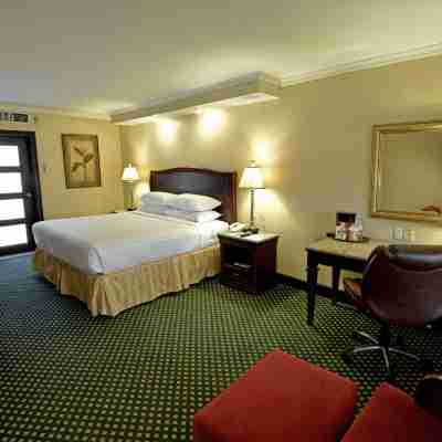 Torreon Marriott Hotel Rooms