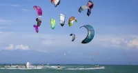 Hotel Paradise Surf Hotels in Antonio Díaz Municipality