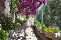 Hotel Pupetto - Sea View