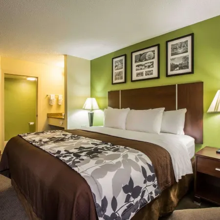Sleep Inn Asheville-Biltmore West